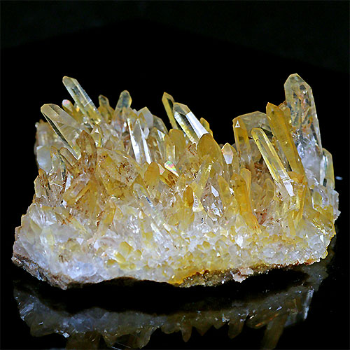 〔D122-8〕極上品 希少 アーカンソー州産 ゴールデンヒーラー クラスター Arkansas Golden Healer【メール便不可】