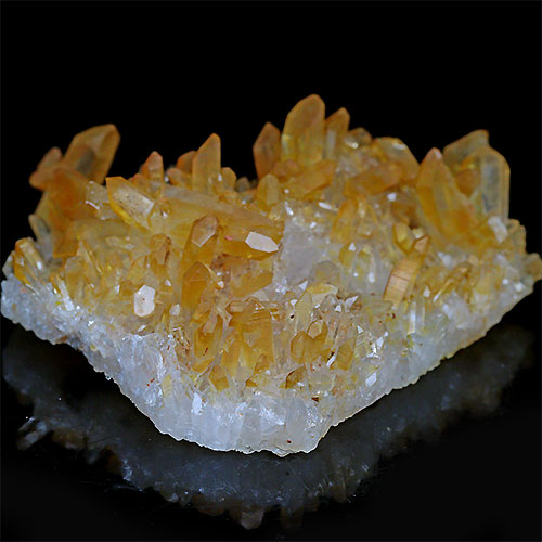 〔D122-9〕極上品 希少 アーカンソー州産 ゴールデンヒーラー クラスター Arkansas Golden Healer【メール便不可】