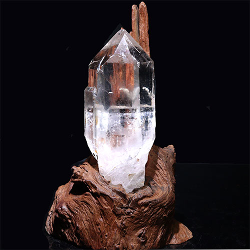 ヒマラヤ水晶　原石　台付 FOREST-STONE / 〔D445-7〕[トップクォリティ]インド/マニハール