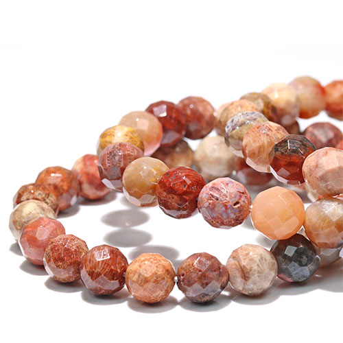 レアカラー　フォッシルコーラル　珊瑚　スフィア フォシルコーラル（化石珊瑚） スフィア・ラウンド20mm 2個