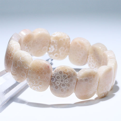 FOREST-STONE / コーラル