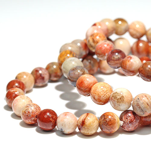 FOREST-STONE / 〔K2004〕約8mm フォッシルコーラル