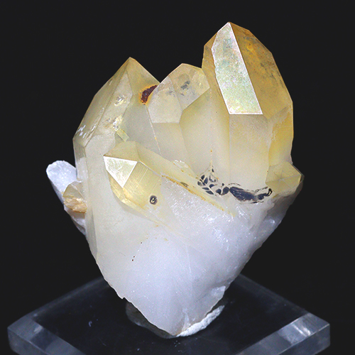 メール便不可 〔D122-13〕希少 アーカンソー州産 ゴールデンヒーラー クラスター Arkansas Golden Healer