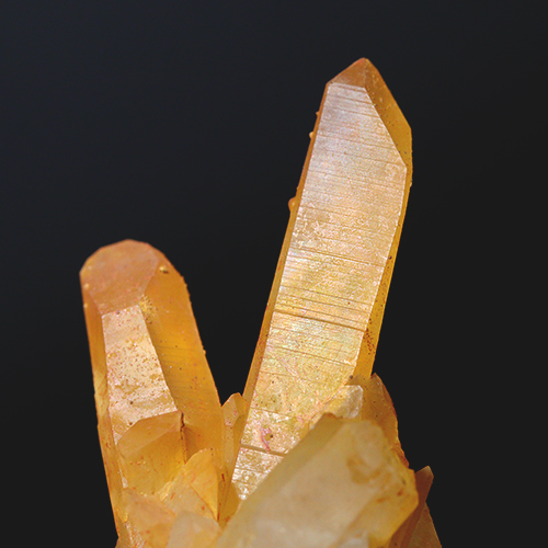 メール便不可 〔D122-18〕希少 アーカンソー州産 ゴールデンヒーラー クラスター Arkansas Golden Healer
