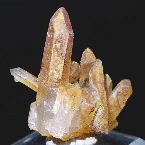 メール便不可 〔D122-29〕希少 アーカンソー州産 ゴールデンヒーラー クラスター Arkansas Golden Healer