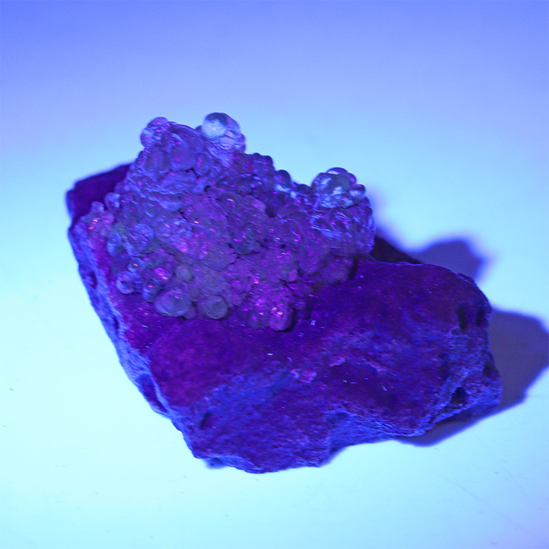 〔D356-42〕希少 メキシコ産 蛍光 ハイアライトオパール 玉滴石 Hyalite Opal 結晶 原石1個売り【メール便不可】
