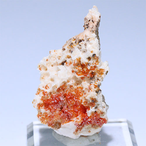 〔D361-19〕バナジナイト(褐鉛鉱) モロッコ産 Vanadinite 1個 鉱物原石【メール便不可】