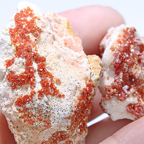 〔D361-24〕バナジナイト(褐鉛鉱) モロッコ産 Vanadinite 2個 鉱物原石【メール便不可】