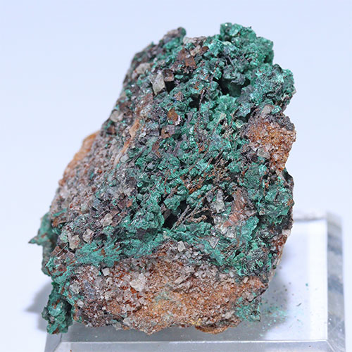 〔D363-42〕マラカイト(孔雀石) モロッコ産 Malachite 1個 鉱物原石【メール便不可】