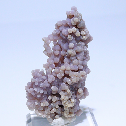 〔D364-47〕インドネシア産 グレープアゲート 標本 鉱物 原石 Grape agate 【FOREST 天然石 パワーストーン】