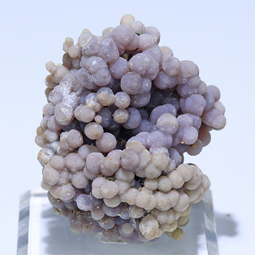 〔D364-60〕インドネシア産 グレープアゲート 標本 鉱物 原石 Grape agate 【FOREST 天然石 パワーストーン】