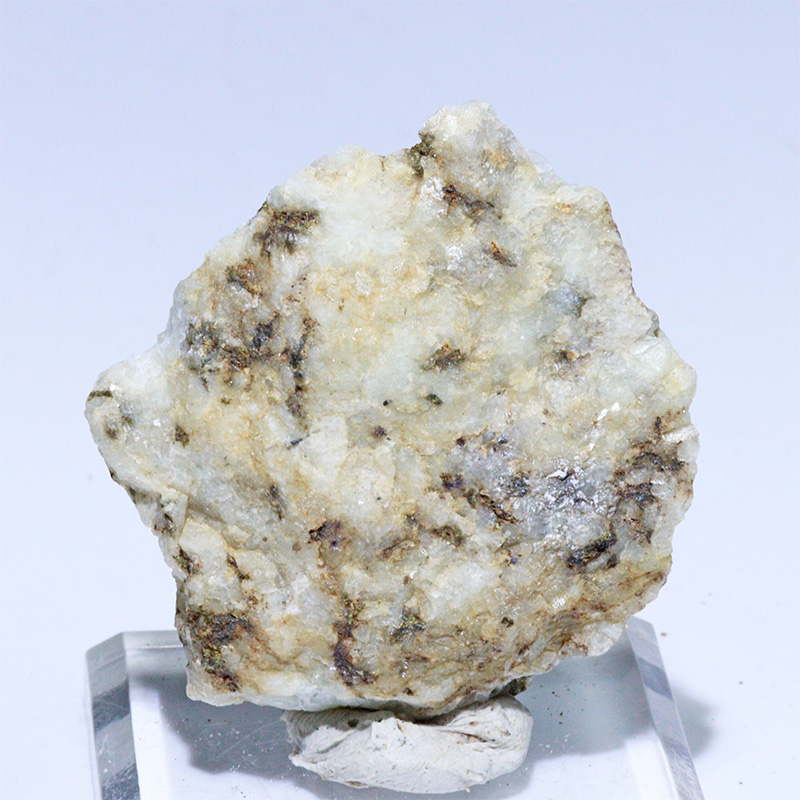 〔D456-22〕国産希少 杉石 スギライト 愛媛県岩城島産 Sugilite 原石 鉱物