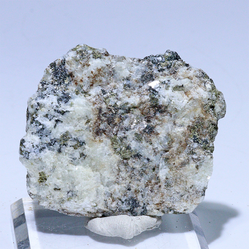 〔D456-6〕国産希少 杉石 スギライト 愛媛県岩城島産 Sugilite 原石 鉱物