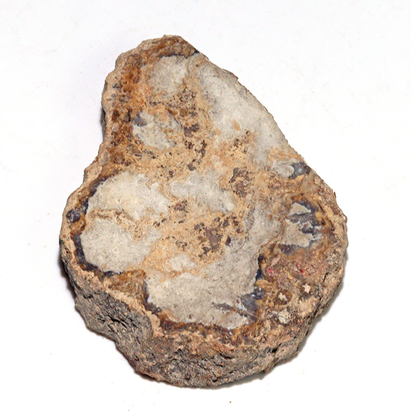 〔D468-11〕珪化木（ペトリファイドウッド） スライス原石 ～悠久の年輪～ 鉱物 原石 標本 置物