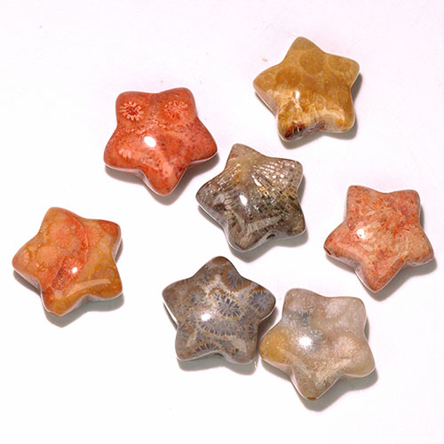 〔Z72-2〕フォッシルコーラル 星形 ビーズ 7個 粒売りFossil coral【FOREST 天然石 パワーストーン】